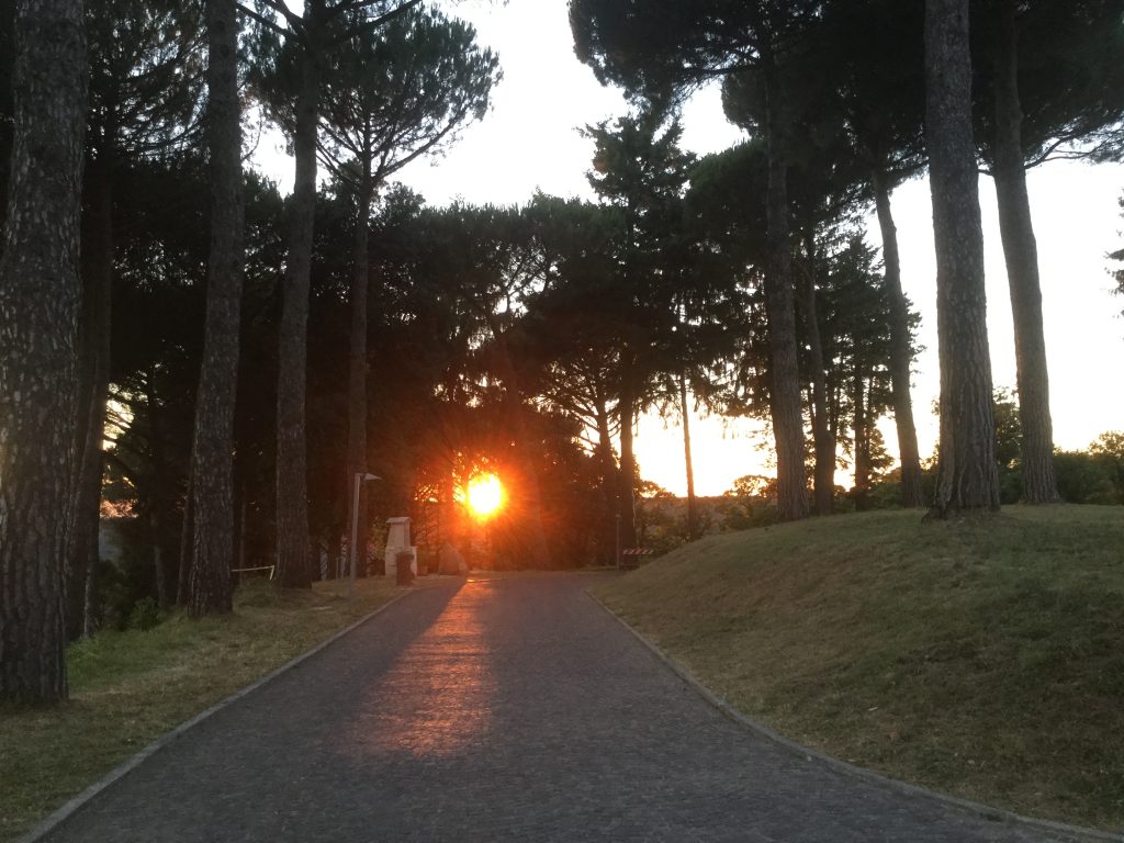 Zufahrt bei Sonnenuntergang