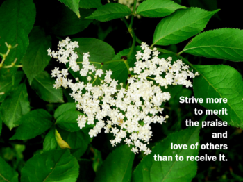 Strive to merit the love of others …